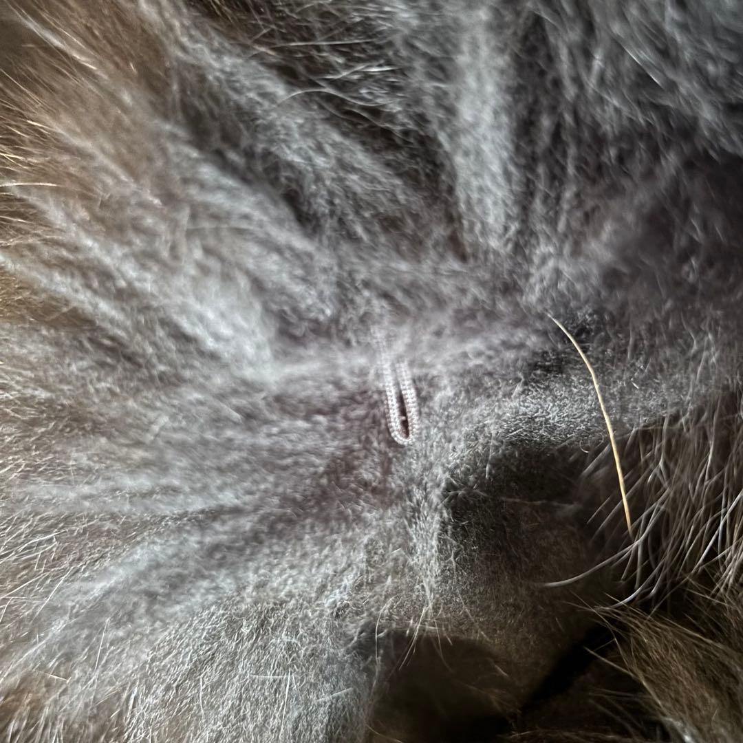 美品 カシミヤ100% フォックスファー ポンチョ ブラック