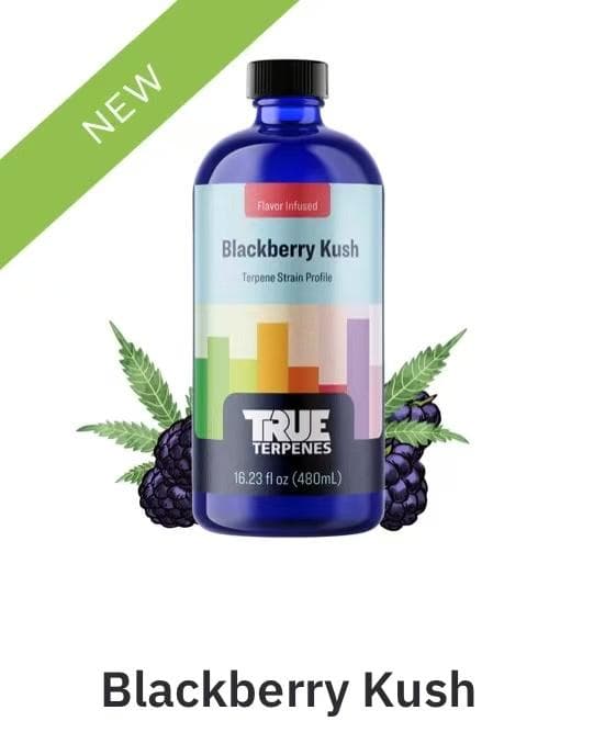 TRUE テルペン 香料 CBD CBN CBG 10ml ブラックベリー