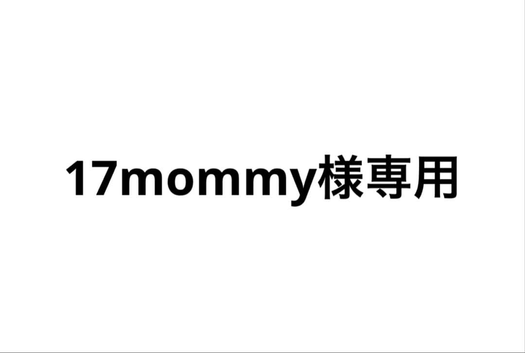 語学・辞書・学習参考書 17mommy