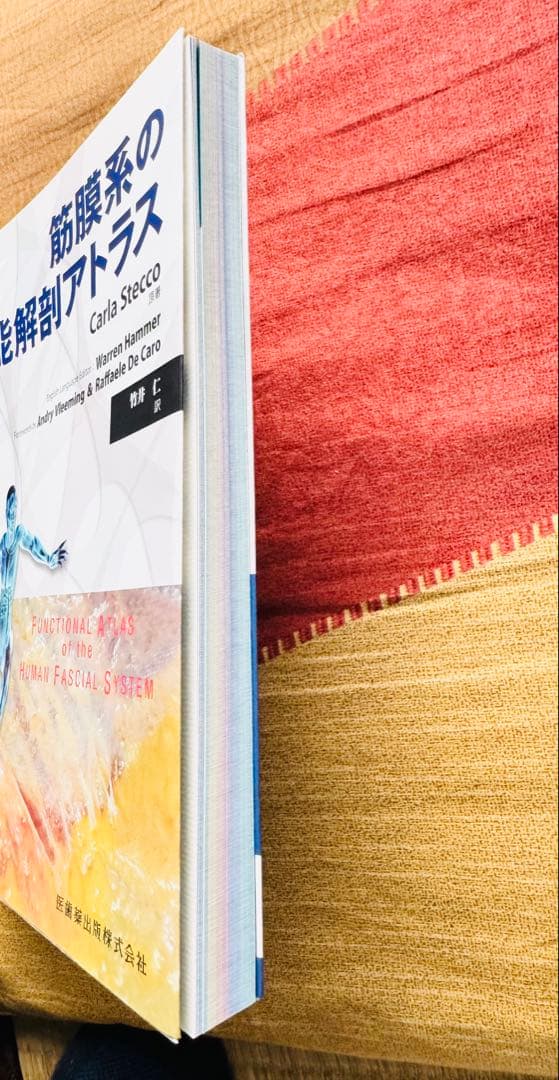 【美品】筋膜系の機能解剖アトラス／Carla Stecco（竹井仁訳）