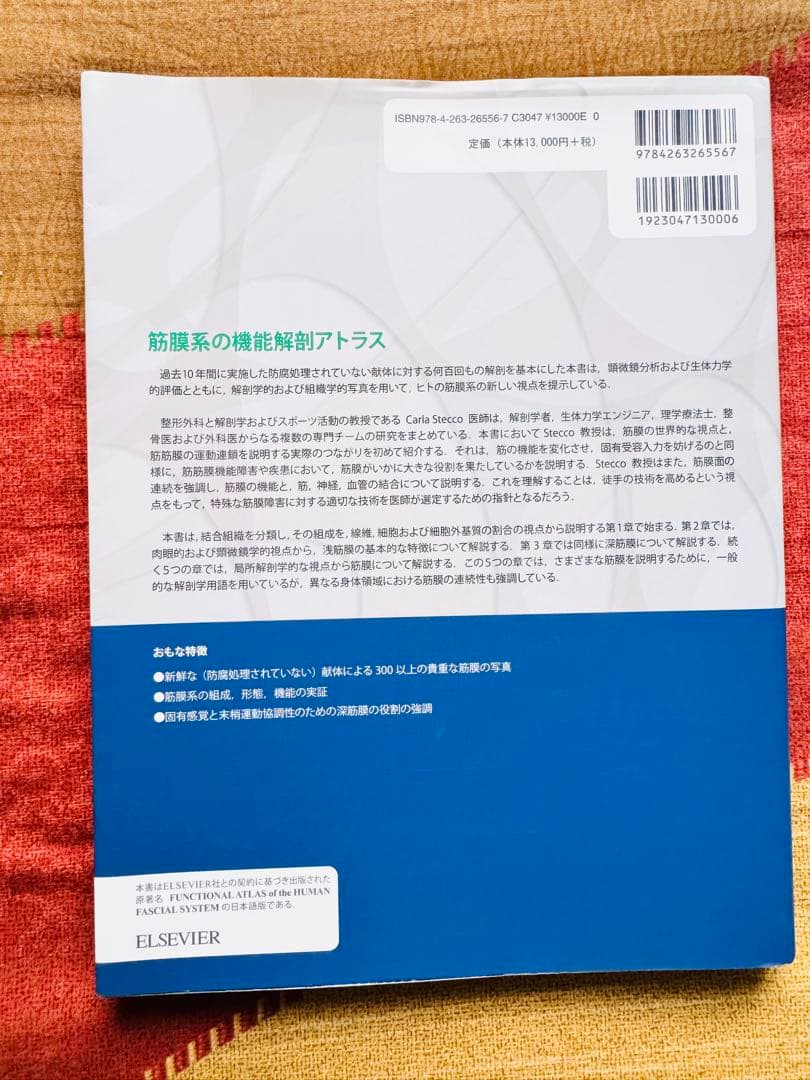 【美品】筋膜系の機能解剖アトラス／Carla Stecco（竹井仁訳）