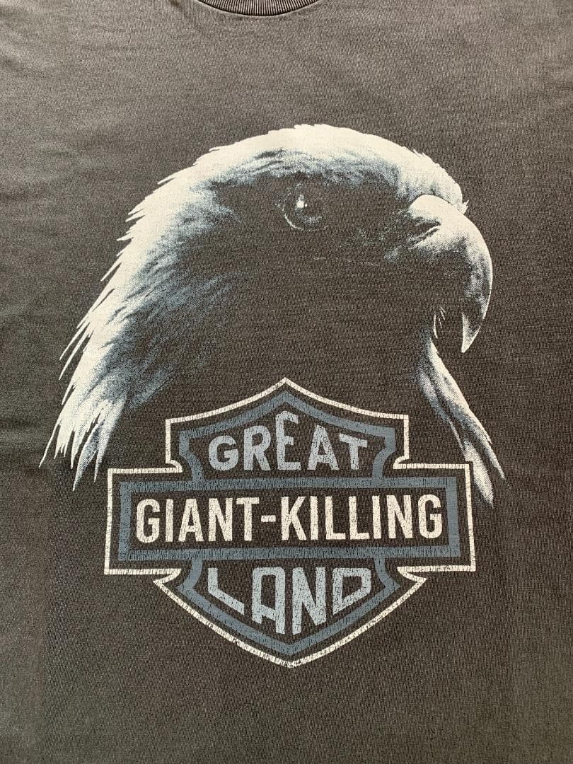 【L】greatLAnd オリジナル KIMERA HD L/S 10YEARS