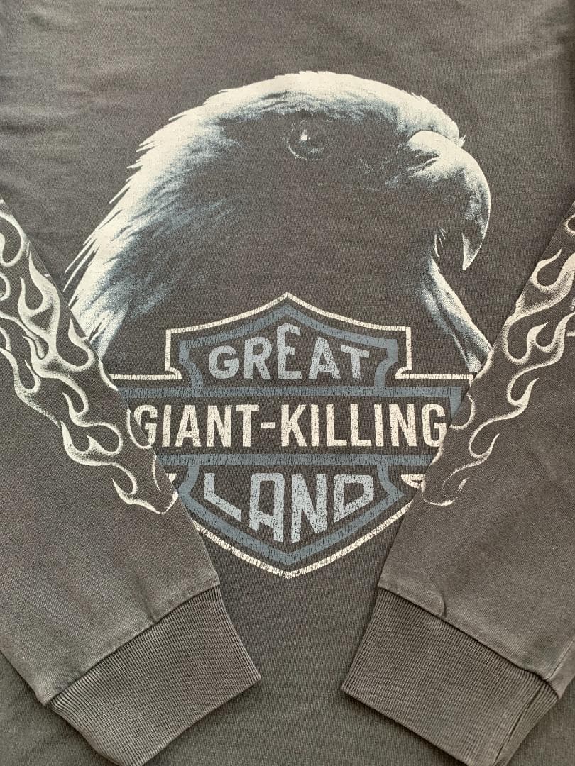 【L】greatLAnd オリジナル KIMERA HD L/S 10YEARS