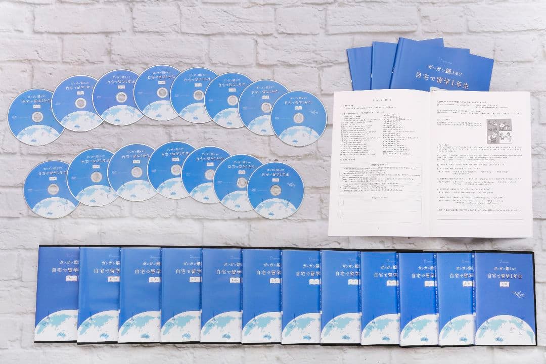 留学レベルの英会話力養成DVD 週1レッスン×1年間分　メールサポート付き