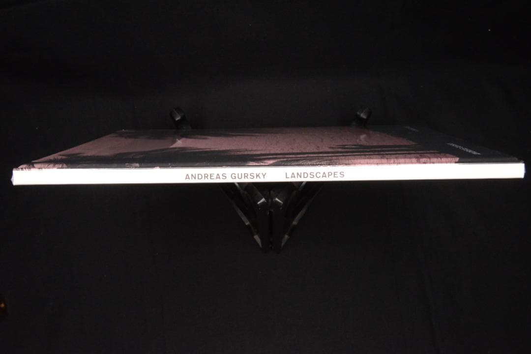 【Andreas Gursky: Landscapes】★★大幅に値下げしました