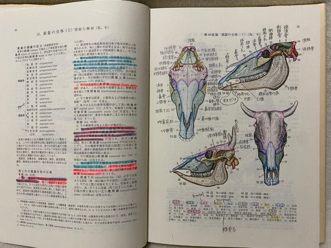 新編 家畜比較解剖図説 上巻・下巻 (下巻のみ裁断済み)