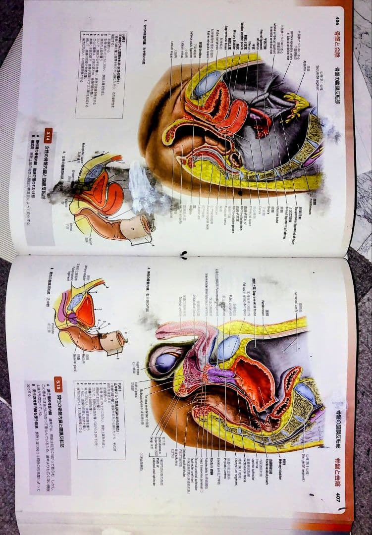 グラント解剖学図譜第8版