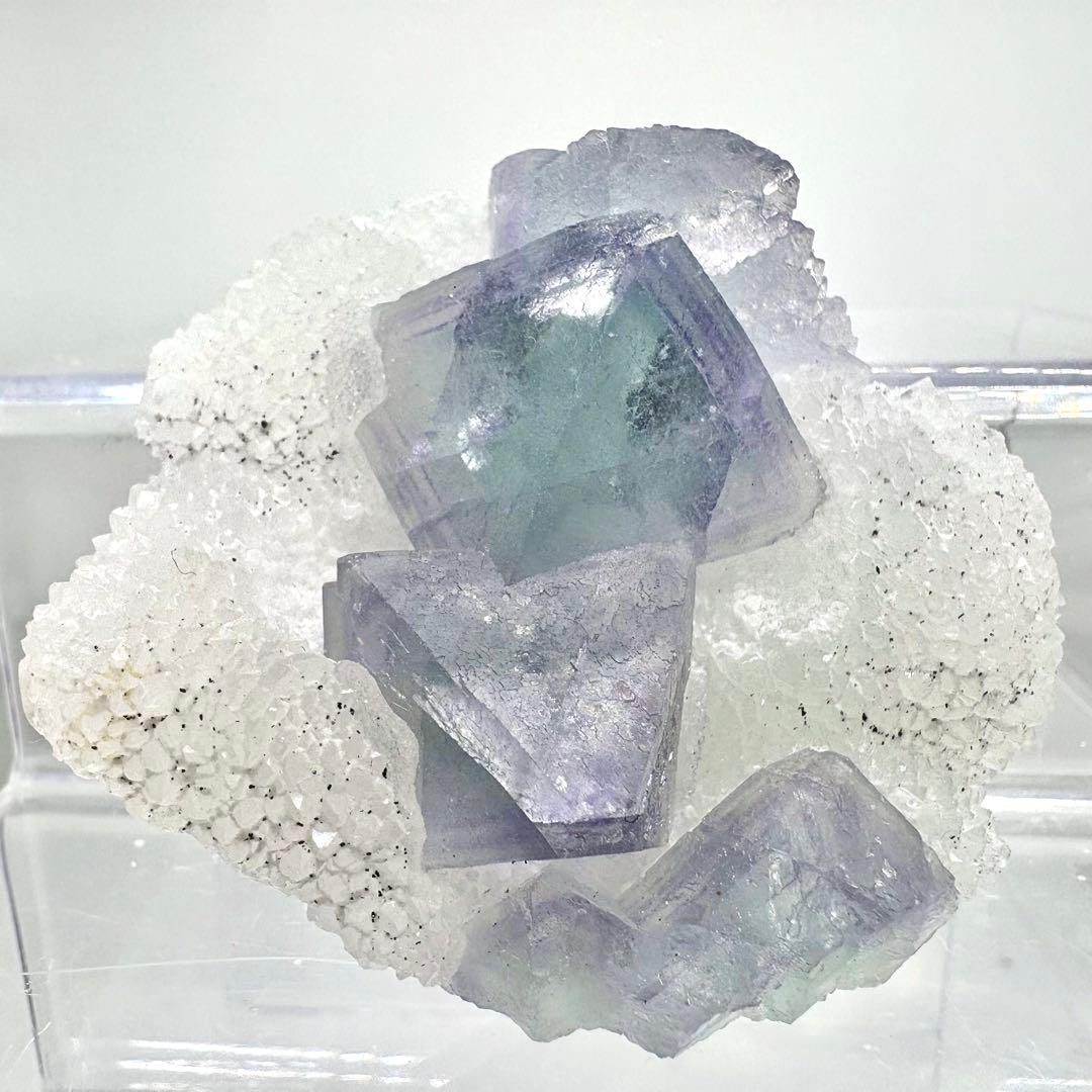 559 中国　浙江省産 八面体フローライト