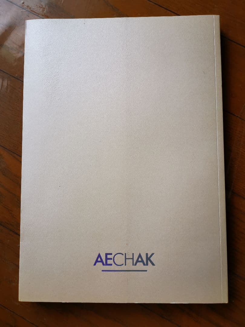 Kara ハンスンヨン　写真集　SOMETHING MEMORABLE