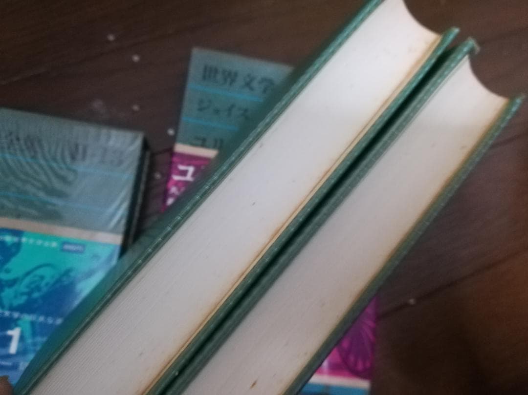 ジェイムズ・ジョイス 　ユリシーズ　世界文学全集