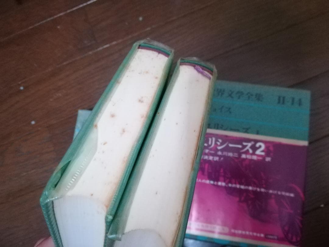 ジェイムズ・ジョイス 　ユリシーズ　世界文学全集