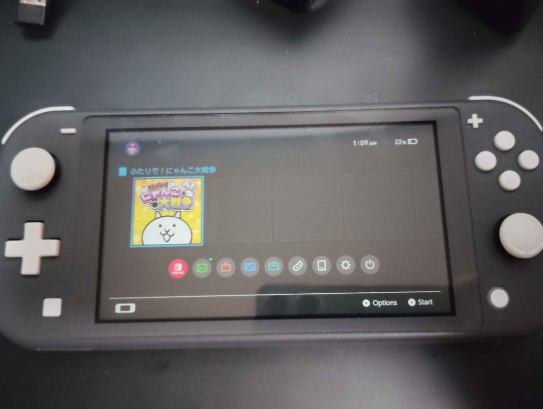 Nintendo Swich Lite本体 グレー色 ケース付 値下交渉可能