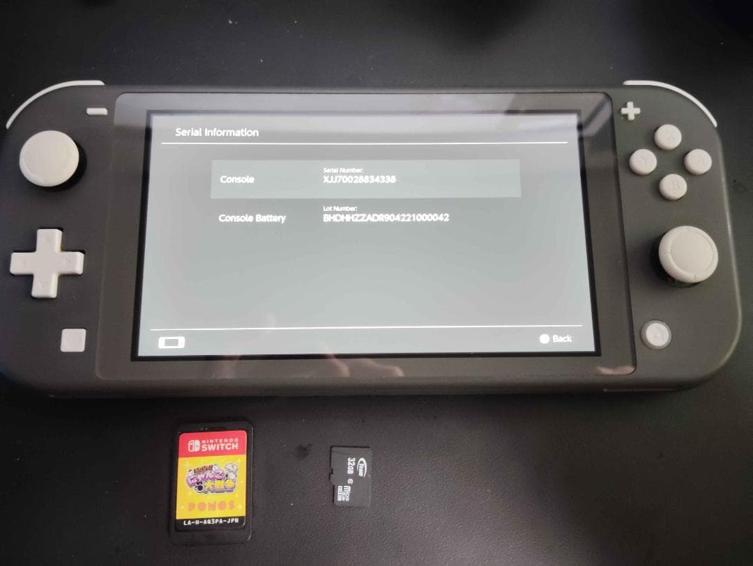 Nintendo Swich Lite本体 グレー色 ケース付 値下交渉可能