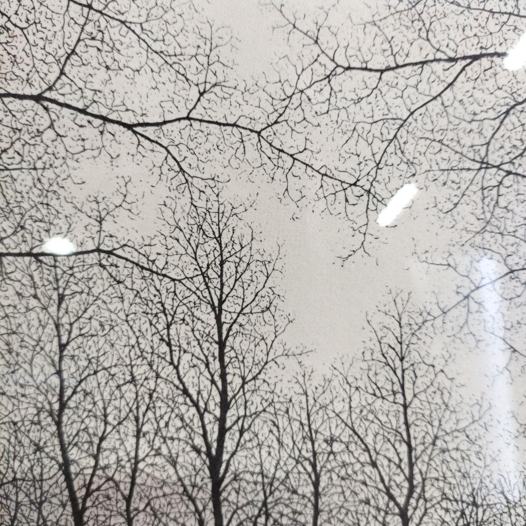 ピ*ロ様 最安値スタート‼️富岡惣一郎「梢」 リトグラフ 直筆サイン トミオカ・