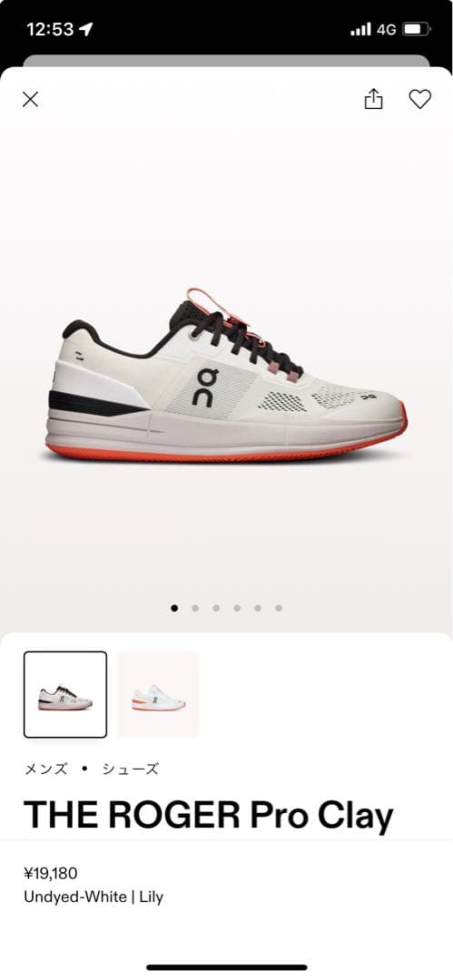 THE ROGER Pro Clay 27cm 新品未使用　フェデラー