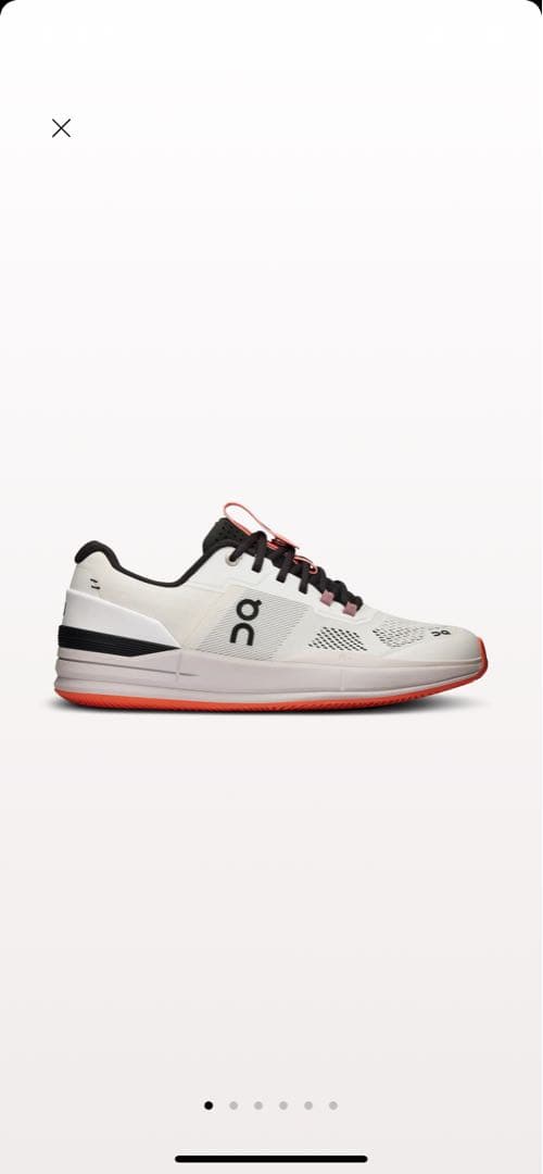 THE ROGER Pro Clay 27cm 新品未使用　フェデラー