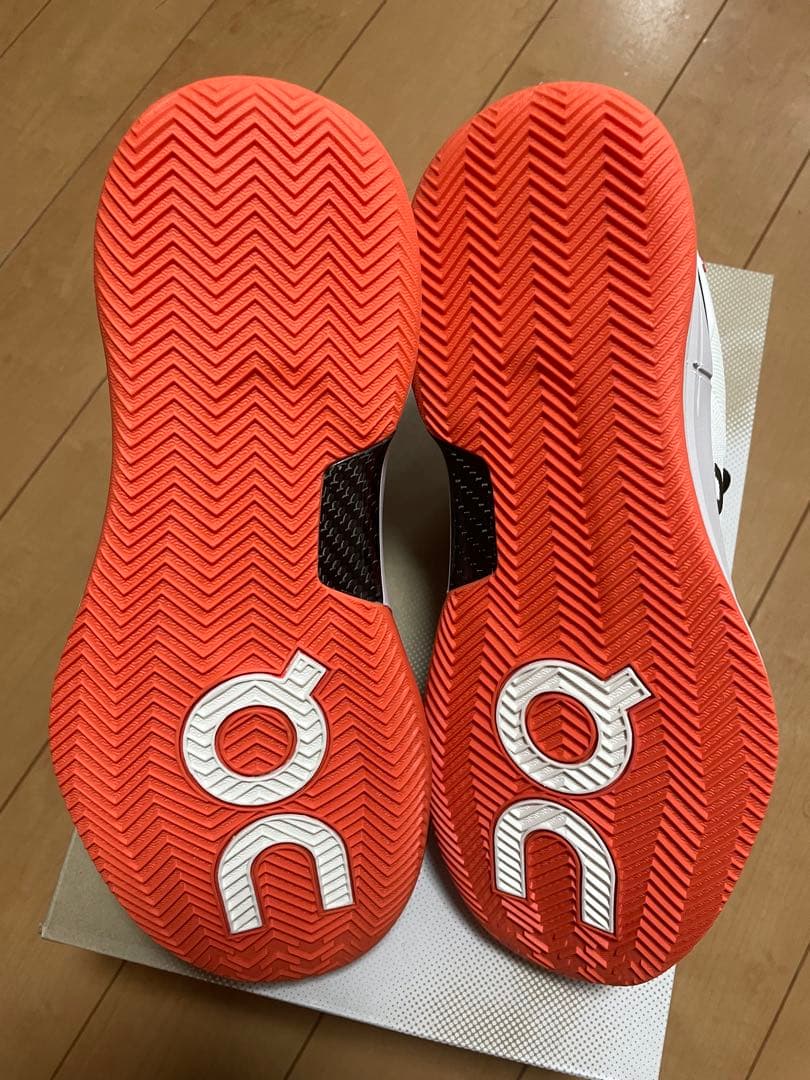 THE ROGER Pro Clay 27cm 新品未使用　フェデラー