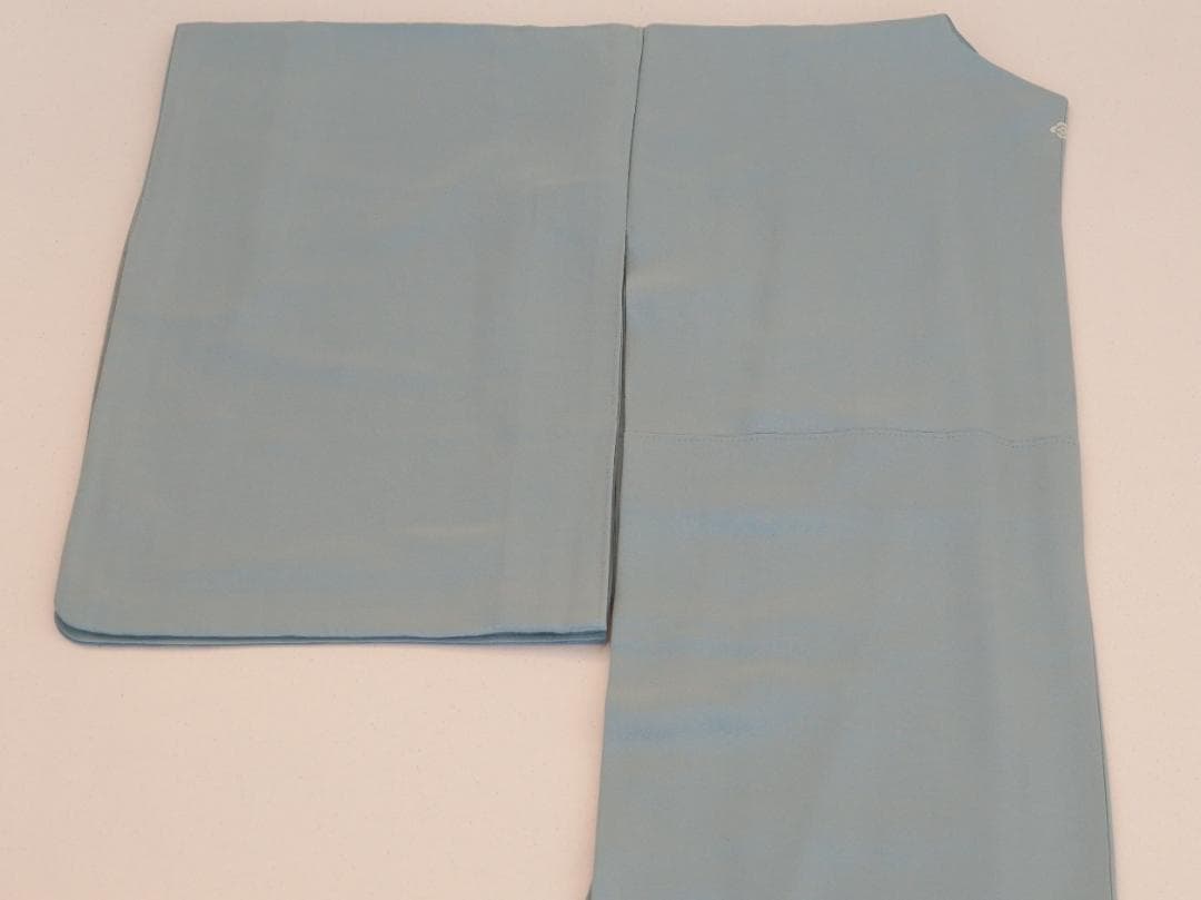 十日町友禅　一梗　清楚な付下げ訪問着　正絹