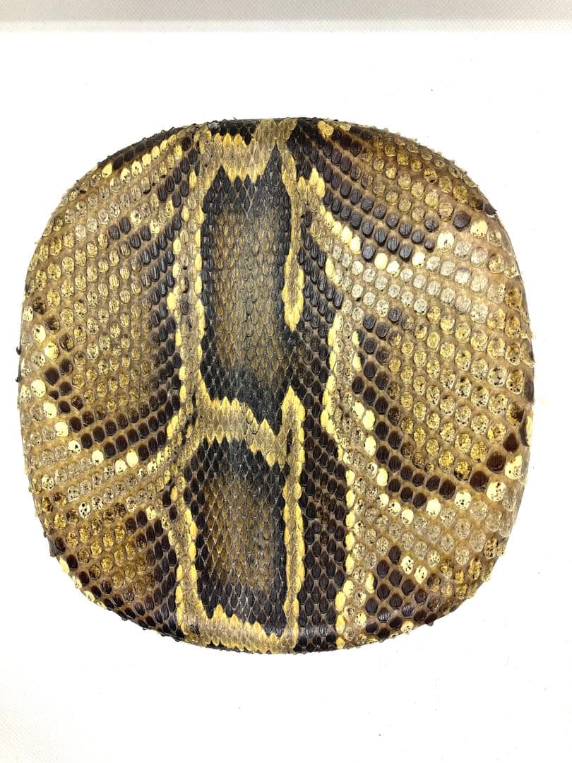 沖縄 三線 胴のみ 中古 蛇皮 チーガ ティーガ