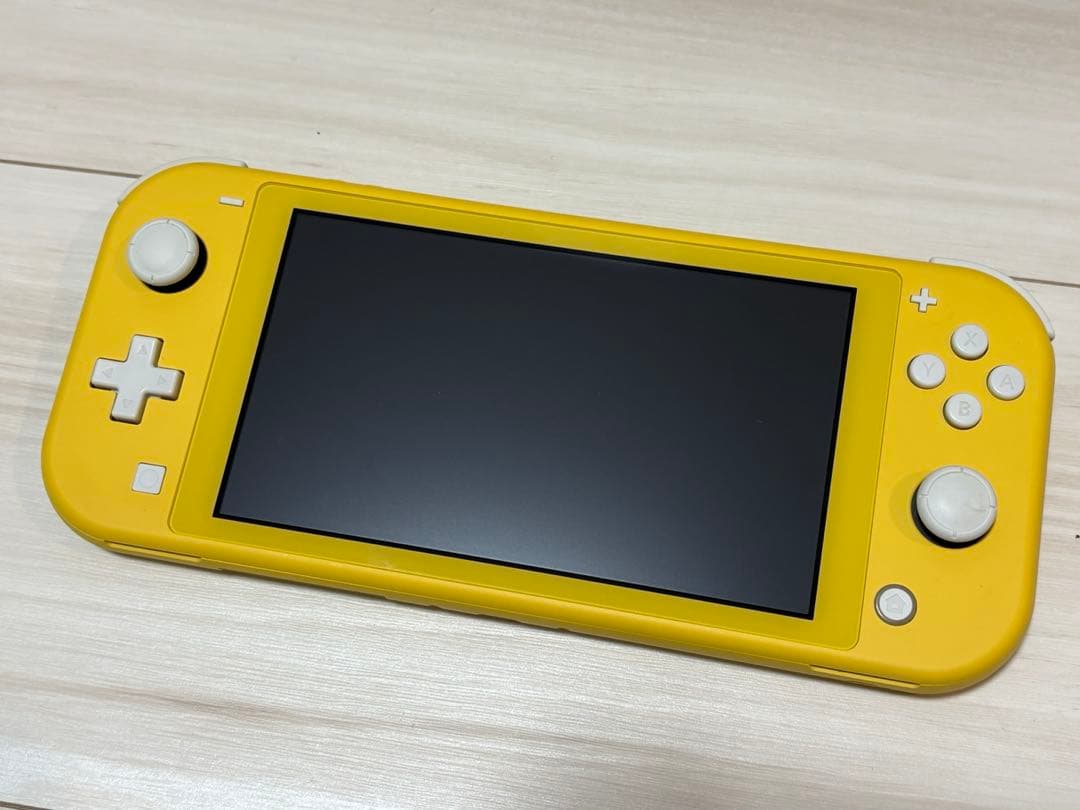Nintendo Switch Lite 動作品・ケース付き