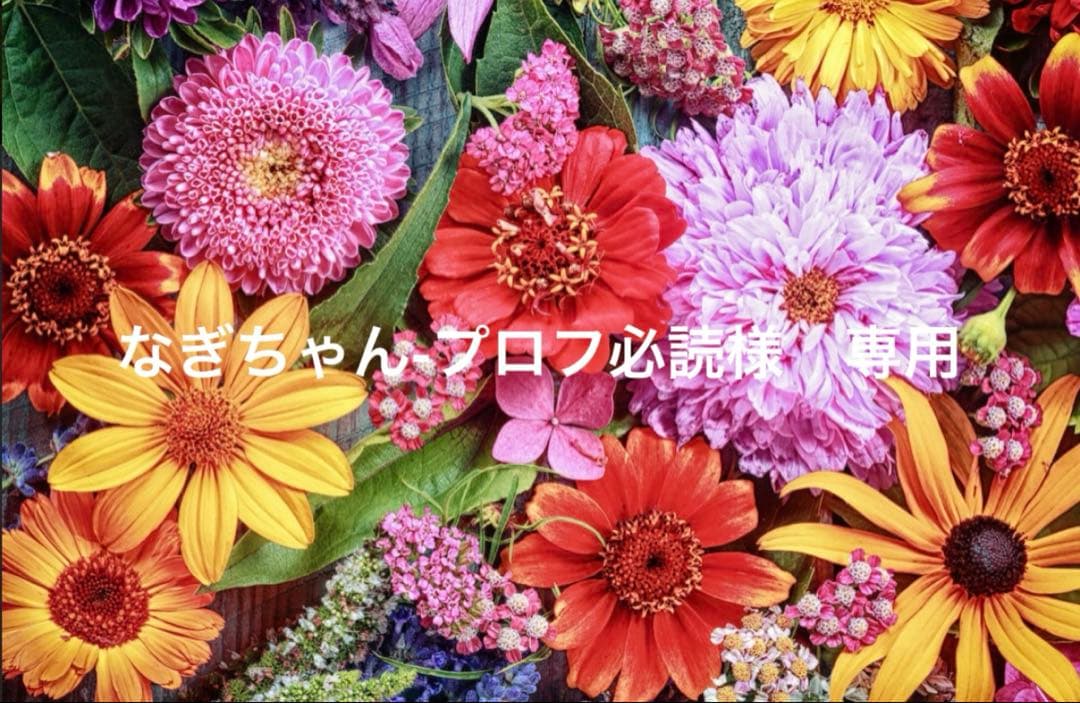 なぎちゃん-プロフ必読