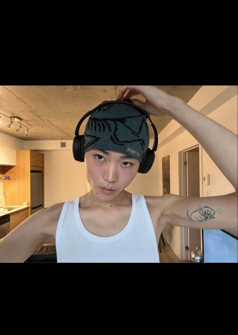 ARC'TERYX アークテリクス　ビーニー　ダークマジックdark magic