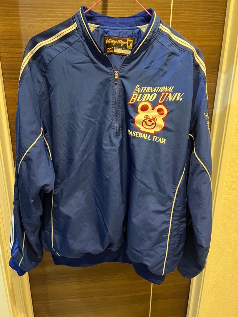 国際武道大学 野球vジャン