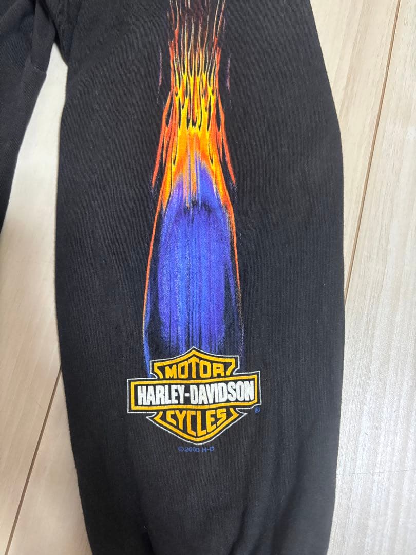 賈充Harley-Davidson フェードフレイム　イーグルロンT XL