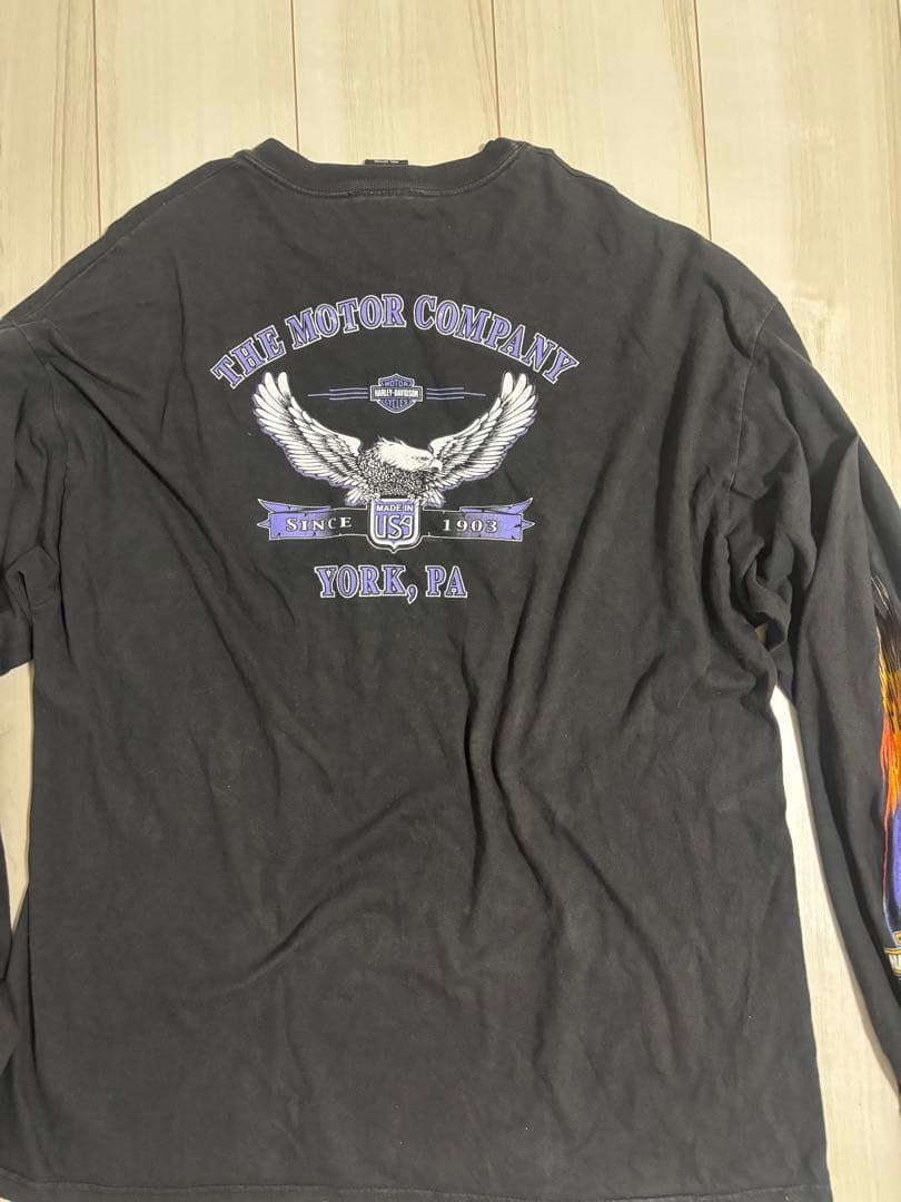 賈充Harley-Davidson フェードフレイム　イーグルロンT XL