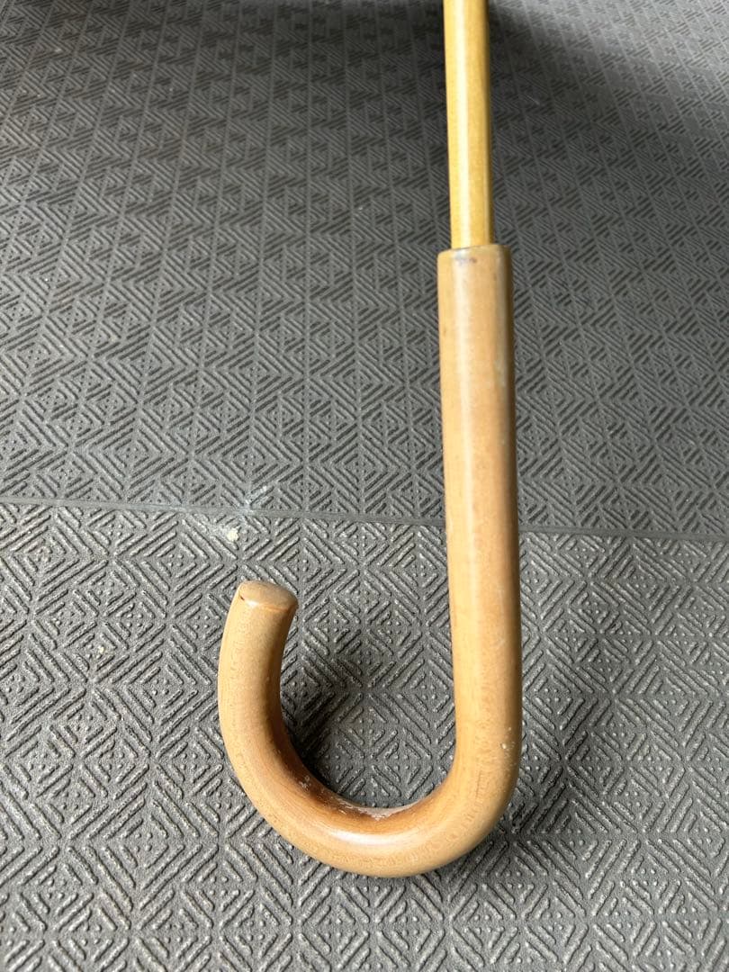 ティグルブロカンテ日傘