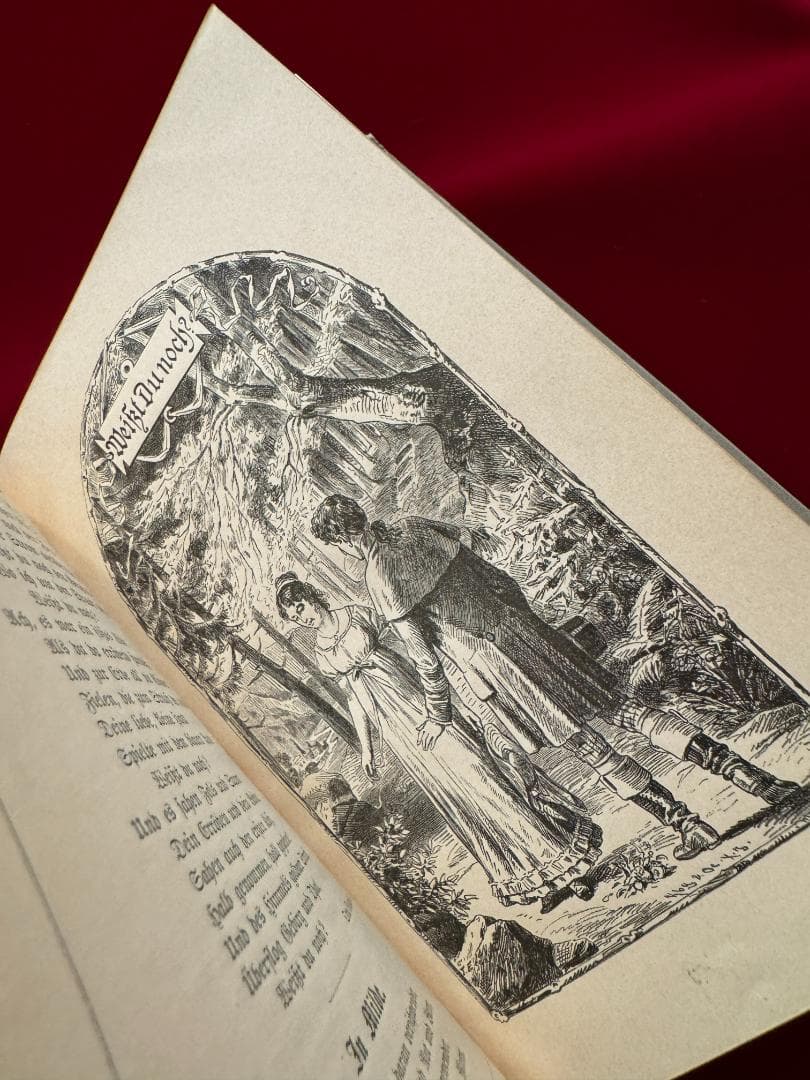 1894年　詩選集　ヴェレーナ・ソフィー　アンティーク　洋書　ドイツ　古書