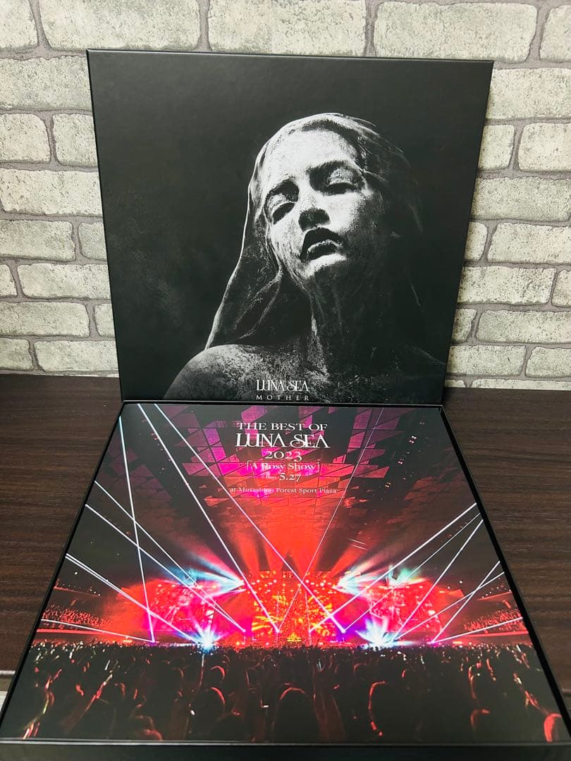 LUNA SEA MOTHER SLAVE 限定 PREMIUM BOX B