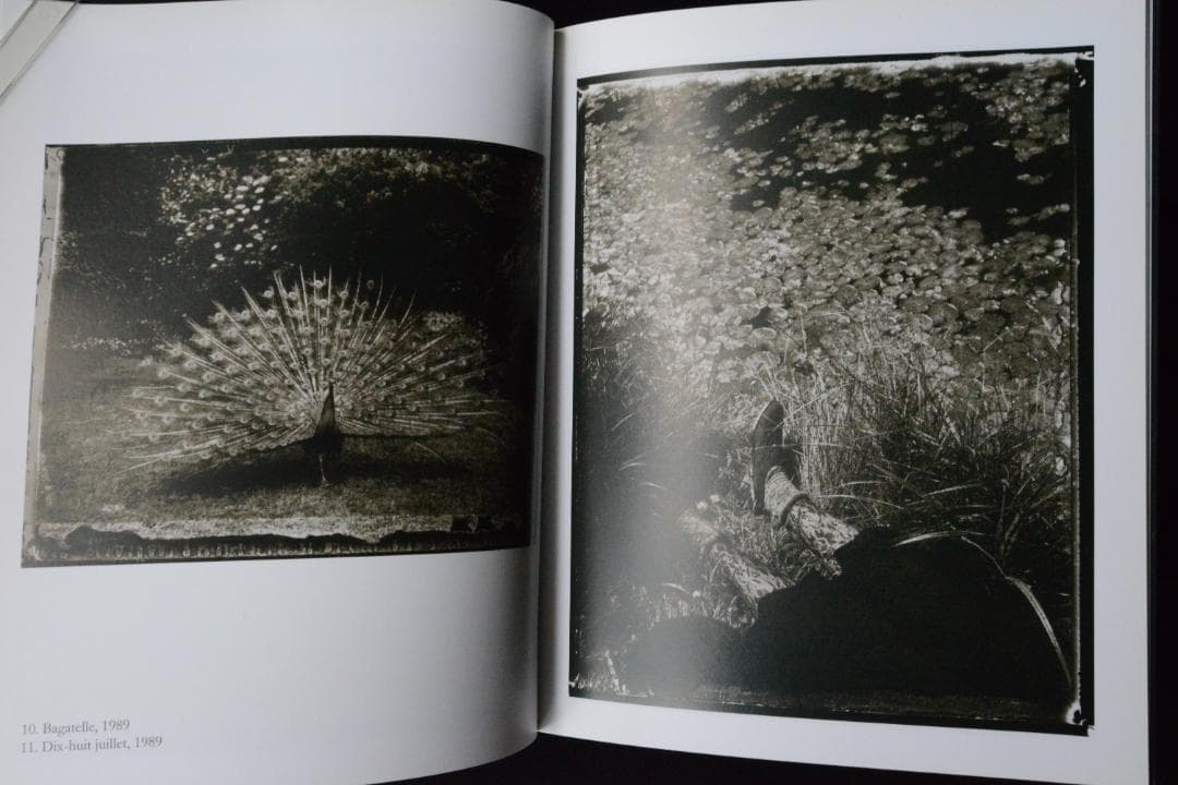 【Sarrah Moon：Alchimies 】サイン入り