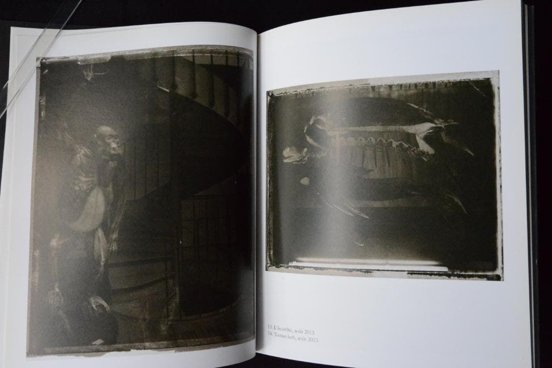 【Sarrah Moon：Alchimies 】サイン入り