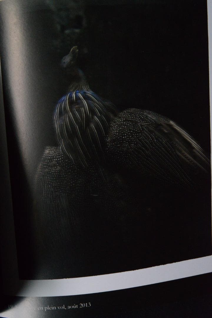 【Sarrah Moon：Alchimies 】サイン入り