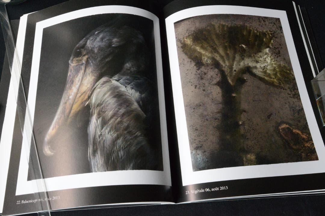 【Sarrah Moon：Alchimies 】サイン入り