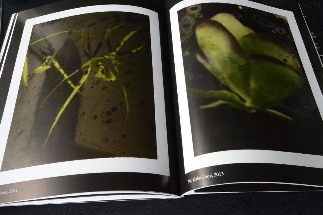 【Sarrah Moon：Alchimies 】サイン入り