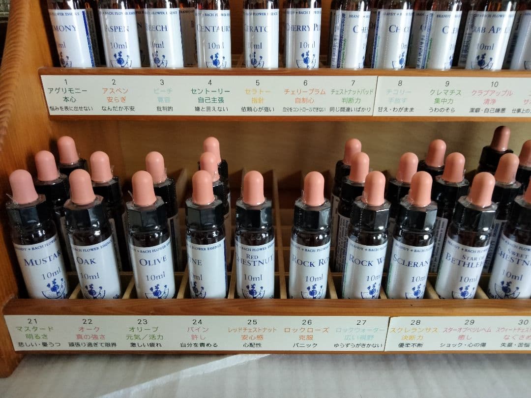 たろう様1760+1660×8=15040ヒーリングハーブス社フラワーエッセンス