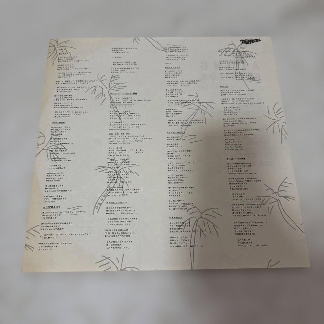 邦楽 EIICHI OHTAKI LONG VACATION