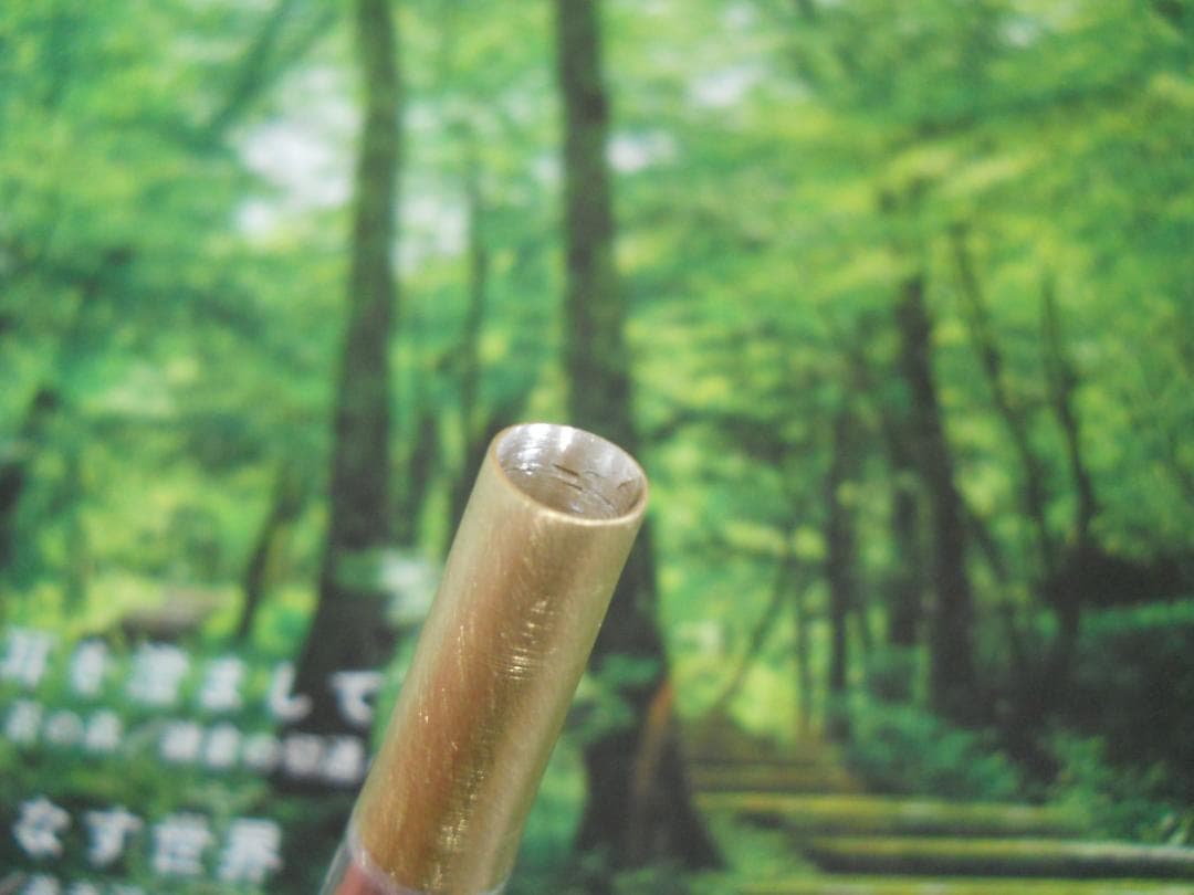 ペーターダムモデルWCシュミット