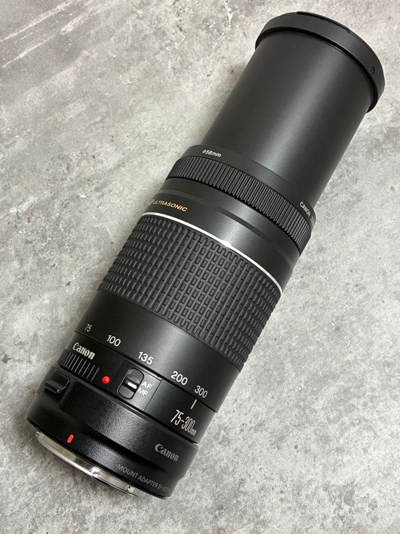 ⭐️美品⭐️Canon EF 75-300 III & EF-EOS R アダプター