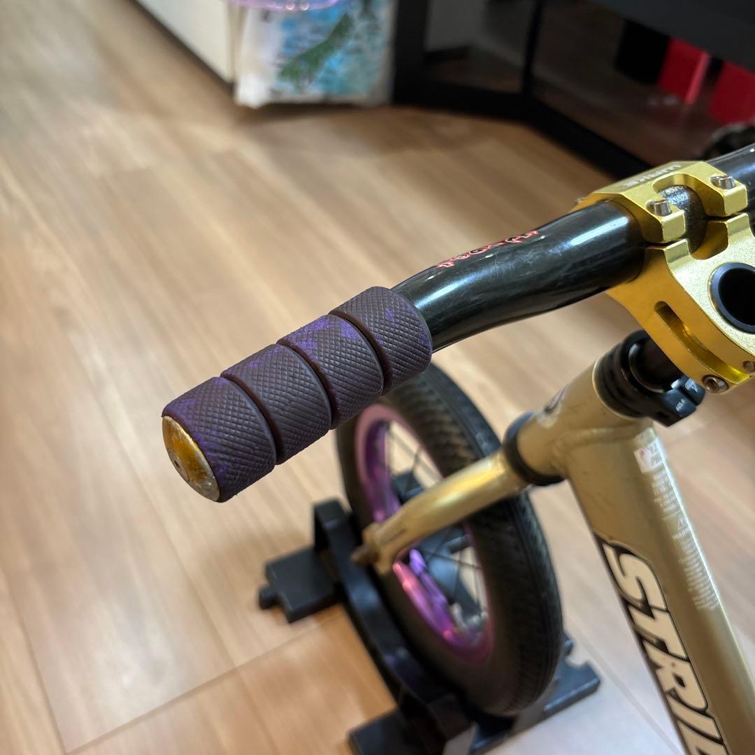 10周記念限定ストライダープロ ゴールド