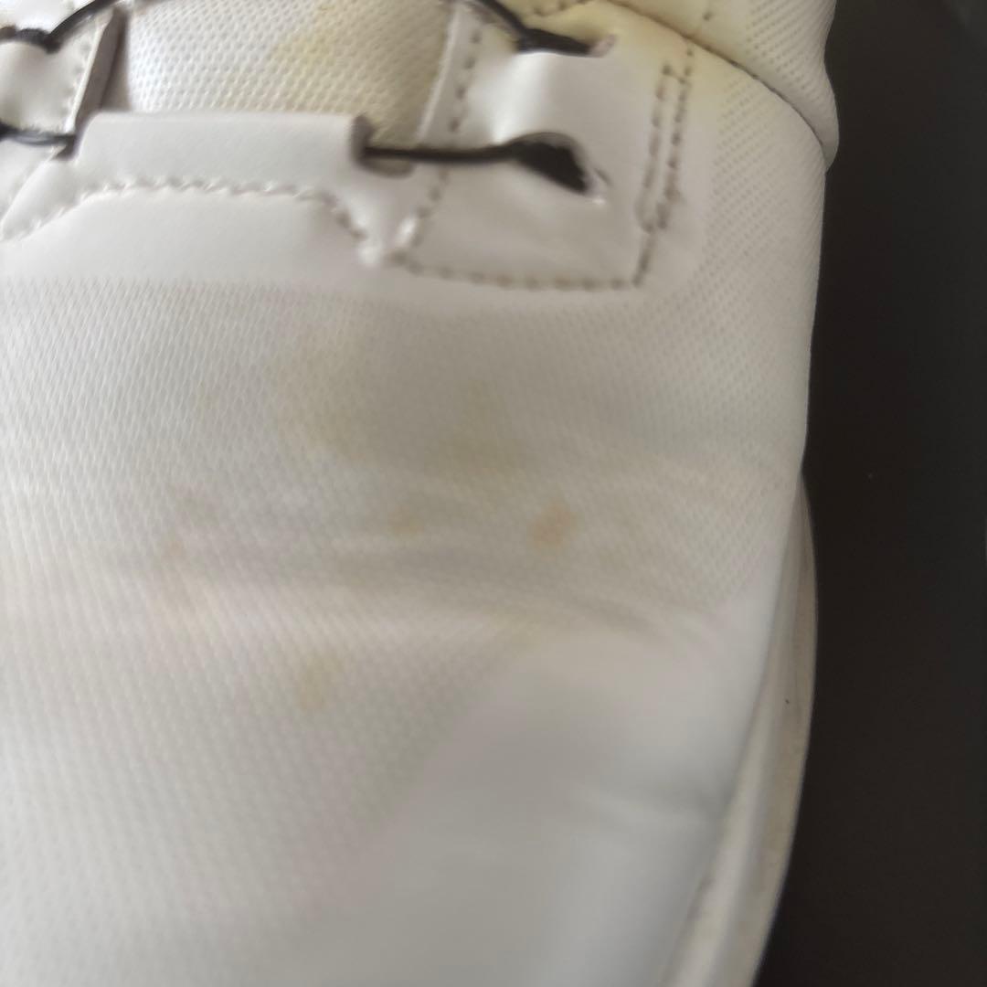 ECCO GOLF BIOM 2.5 ホワイト/コンクリート 43