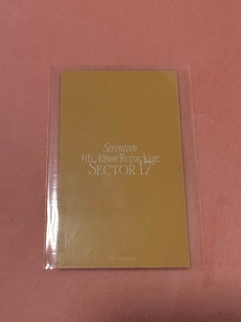 SEVENTEEN ジュン ラキドロ sector17