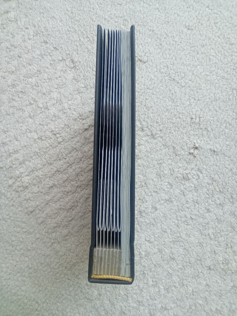 限定ナンバー付き! DVDセット THROBBING GRISTLE TGV