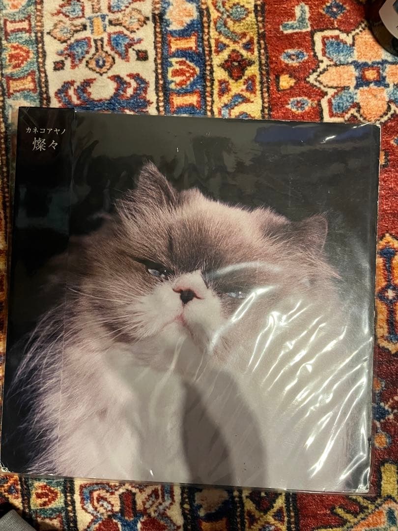 カネコアヤノ　燦々 レコード　激レア