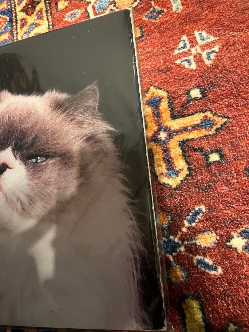 カネコアヤノ　燦々 レコード　激レア