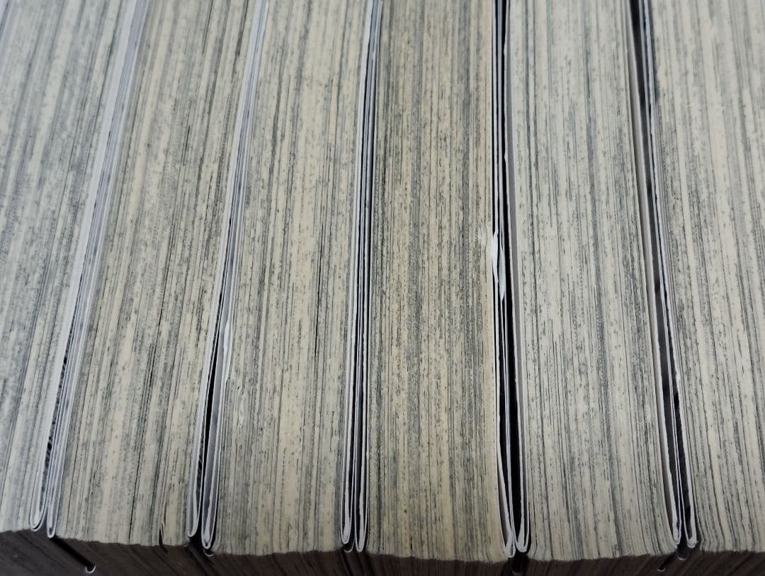 不滅のあなたへ 全25巻セット