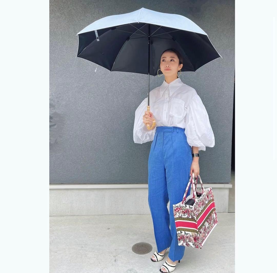 サンバリア100 日傘 完全遮遮光 Lサイズ フロスト 長傘 神崎恵