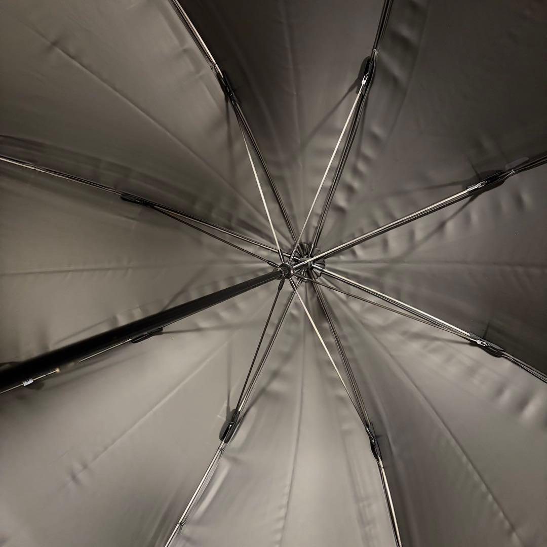 サンバリア100 日傘 完全遮遮光 Lサイズ フロスト 長傘 神崎恵